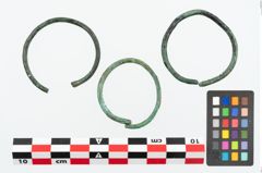 Foto von Bronzering (NHMW-PRAE-026187)